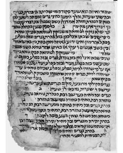 Portions of Tractates Negaim and Parah