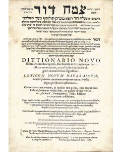 Tzemach David / Dittionario Novo Hebraico [trilingual lexicon]