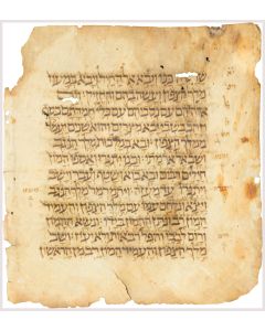 (Bible, Hebrew). Full two-sided leaf, text comprising: Daniel Chap. XI middle of verse 2 through middle of verse 13.