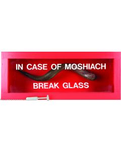 “In Case of Moshiach Break Glass.”