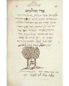 Samuel Robles de Medina. Peri Alonim [compendium of Hebrew abbreviations “to ease a student’s education.”]