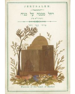 Flowers of the Holy Land. Twelve cards with designs of pressed flowers and leaves.