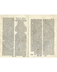 [Midrashim on the Pentateuch]. Anonymous