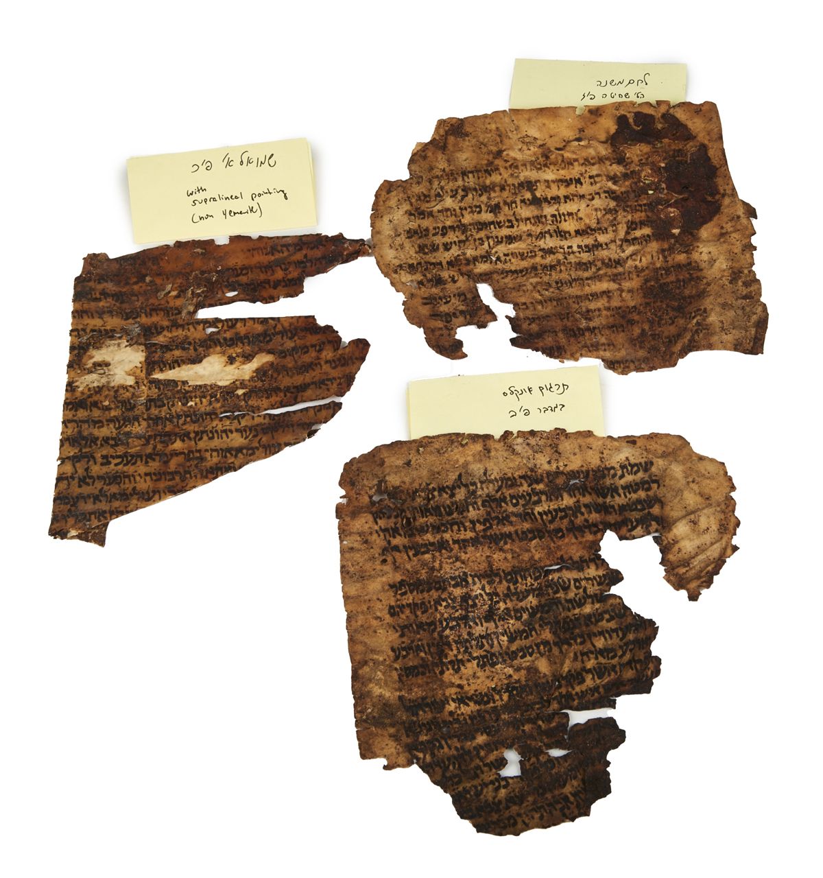 Group of early Hebrew manuscript fragments recovered from book-bindings.