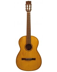 Labeled CARLO ROBELLI/MADE IN BRAZIL/MODEL NUMBER SA500, the pine top, the rosewood back and sides, the mahogany neck, the rosewood fingerboard. Scale length 24 in., with case.